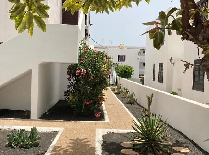 Oasisstudiolanzarote *